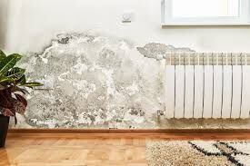 Dryfix Nm-S 10 Nemeson Nem ve Rutubet Boyası